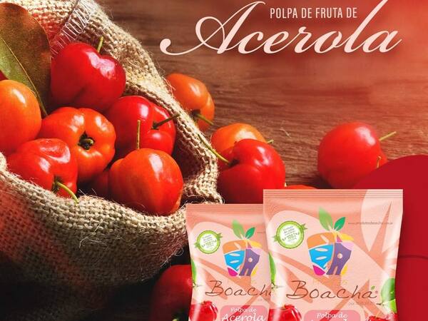 imagem de Polpa de Frutas Natural - Acerola com Laranja
