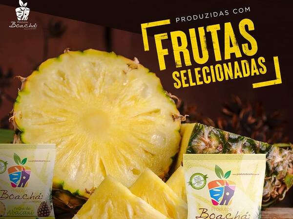 imagem de Polpa de Frutas Natural - Abacaxi