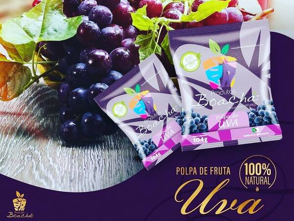 imagem de Polpa de Frutas Natural - Uva