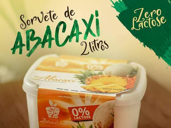 imagem de Abacaxi 0% lactose